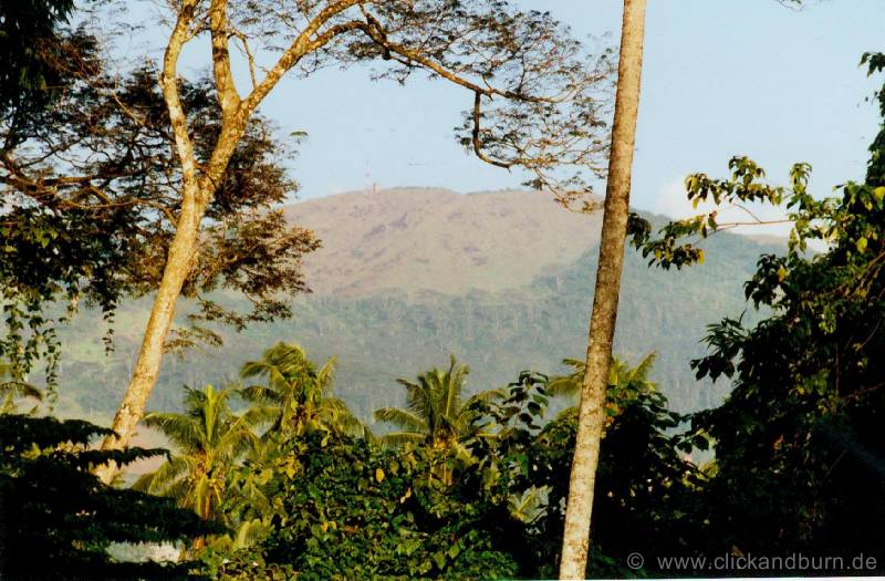 Pinnawale 1 